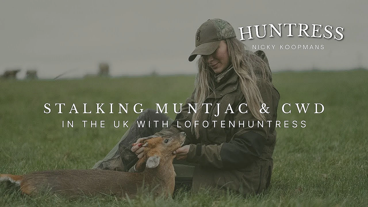 Stalking Muntjac &amp; Chinese Water Deer In The Uk With Lofotenhuntress