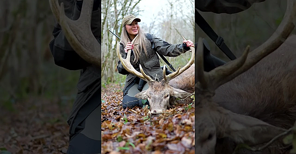 Video Is Coming Soon