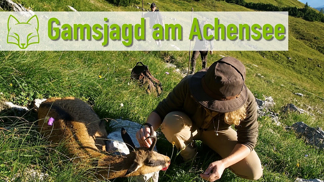 Gamsjagd über dem Achensee