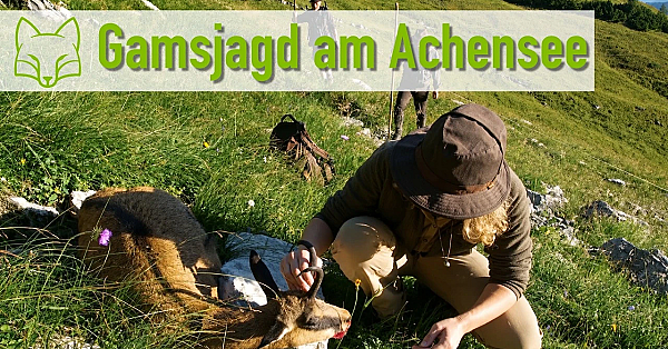 Gamsjagd über dem Achensee