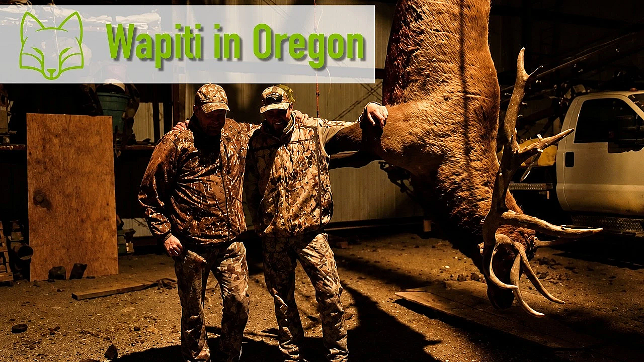 Ist das der stärkste Wapiti ever? Oregon Teil 2