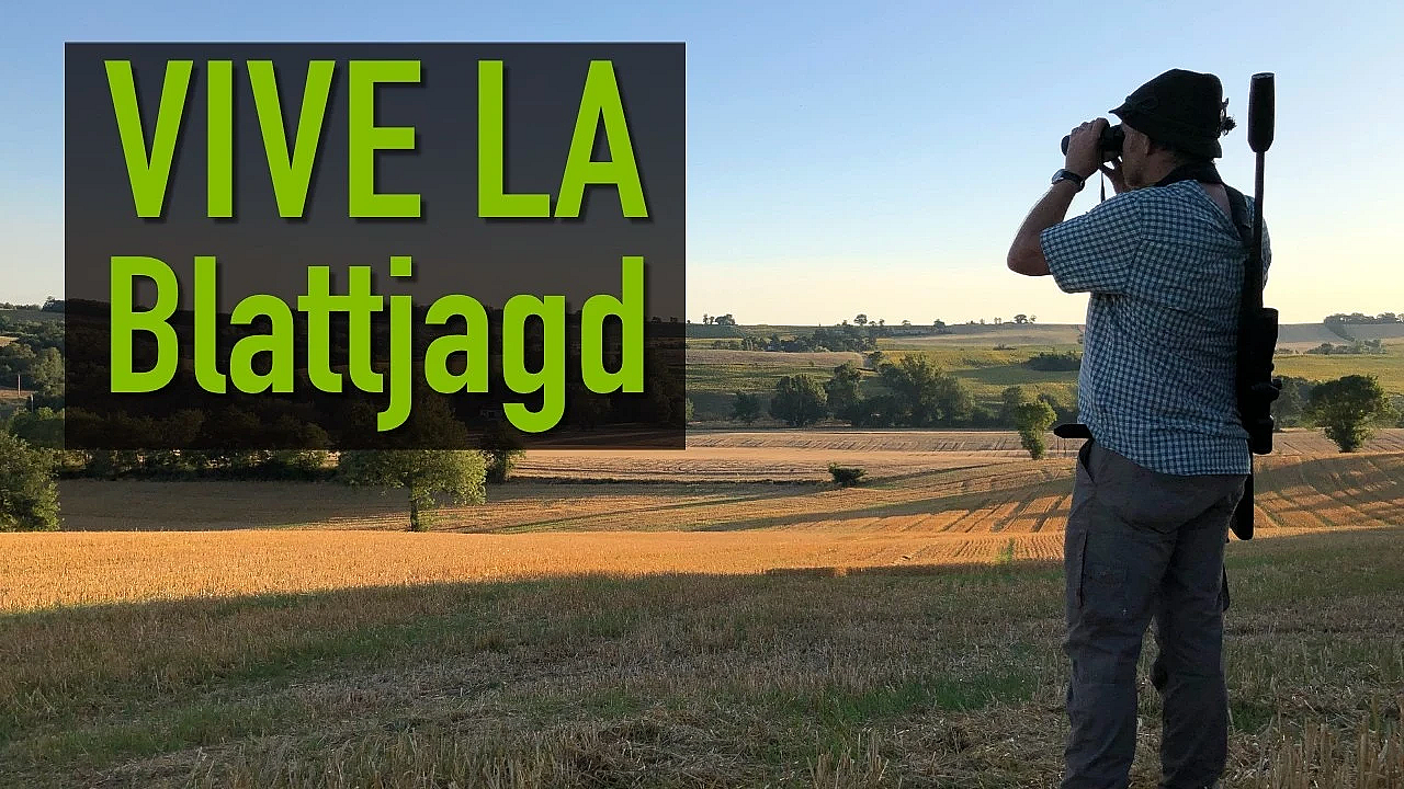 Blattjagd vom Feinsten in Frankreich