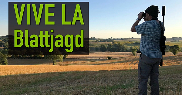 Blattjagd vom Feinsten in Frankreich