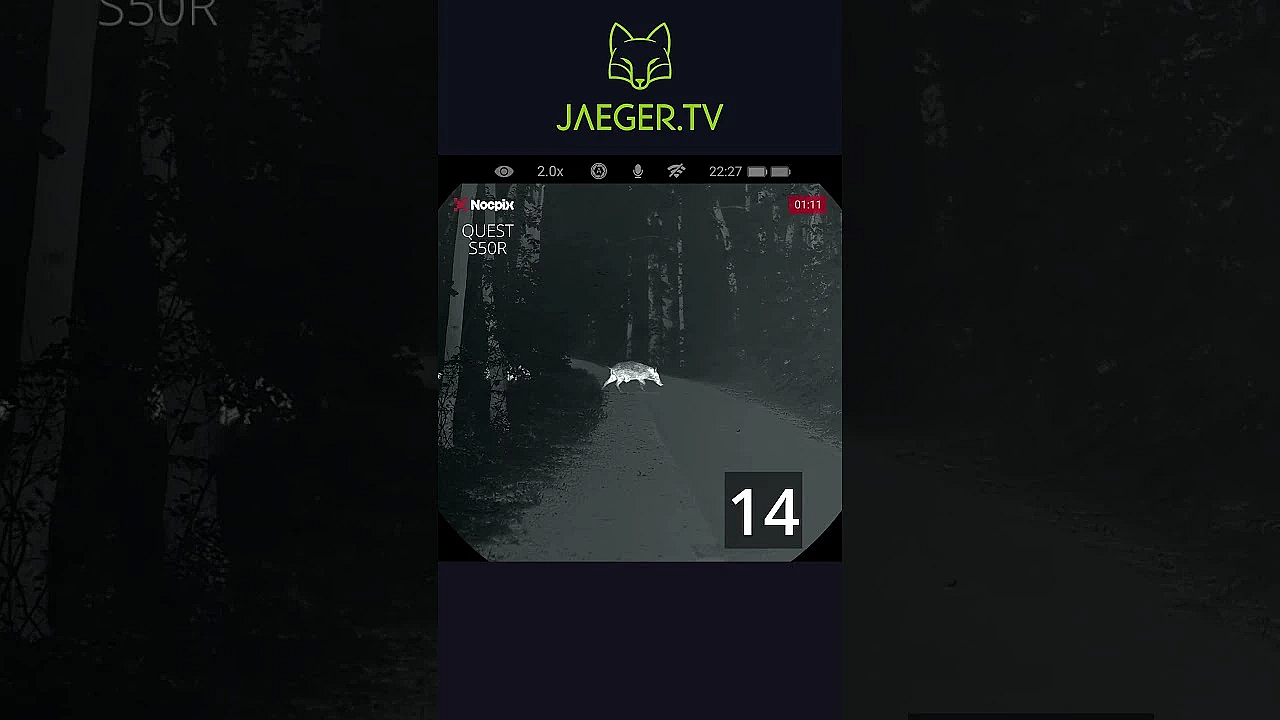Counting Wildboar  #hunting #jagd #jaegertv #wildboar