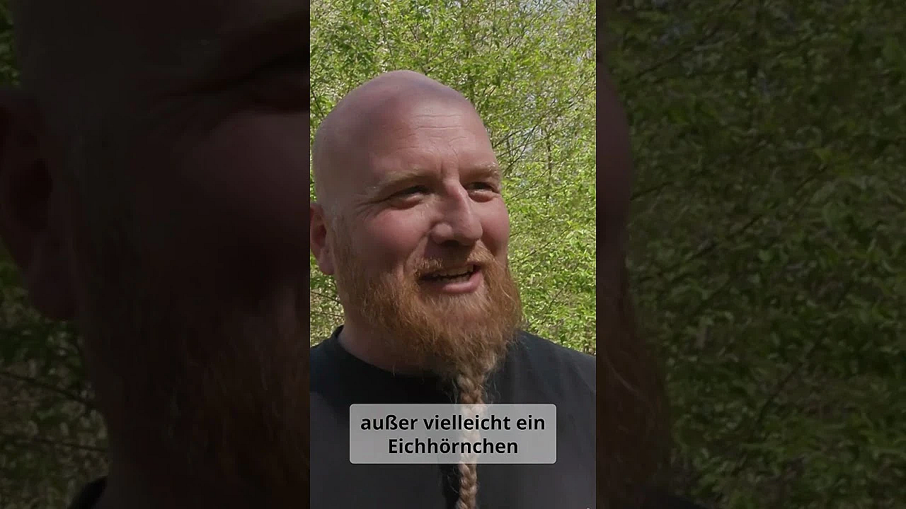 Ringos Salzleckstein Alternative fürs Wild #hunting #jagd #jager #wildlife