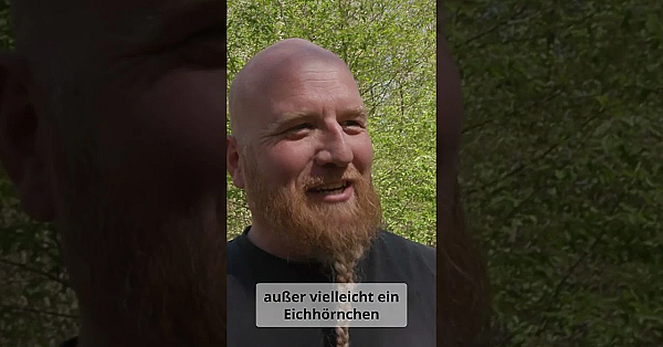 Ringos Salzleckstein Alternative fürs Wild #hunting #jagd #jager #wildlife