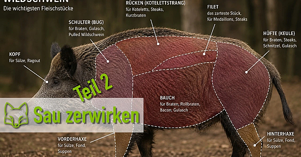 Sau zerwirken Teil 2