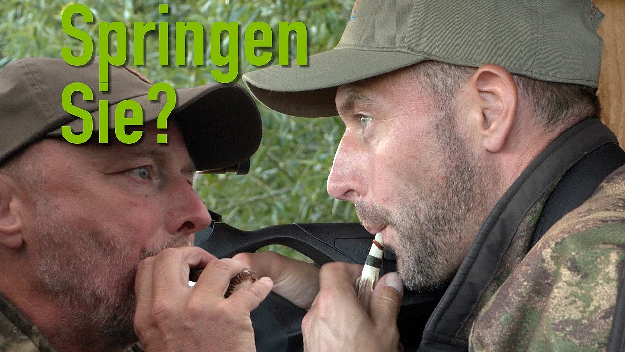 Springen Sie? Oder springen Sie nicht? Blattjagd in Mecklenburg-Vorpommern am Peenestrom