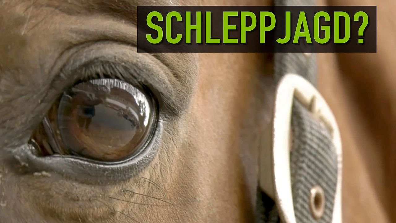 Die Wahrheit über die Schleppjagd