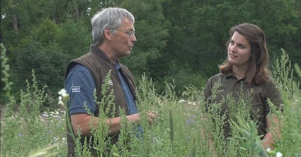 Jagerstv Afl. 2 - Veldexperiment Bloeiende Akkerranden, Standaard Jachthonden Proef En De Nazoek