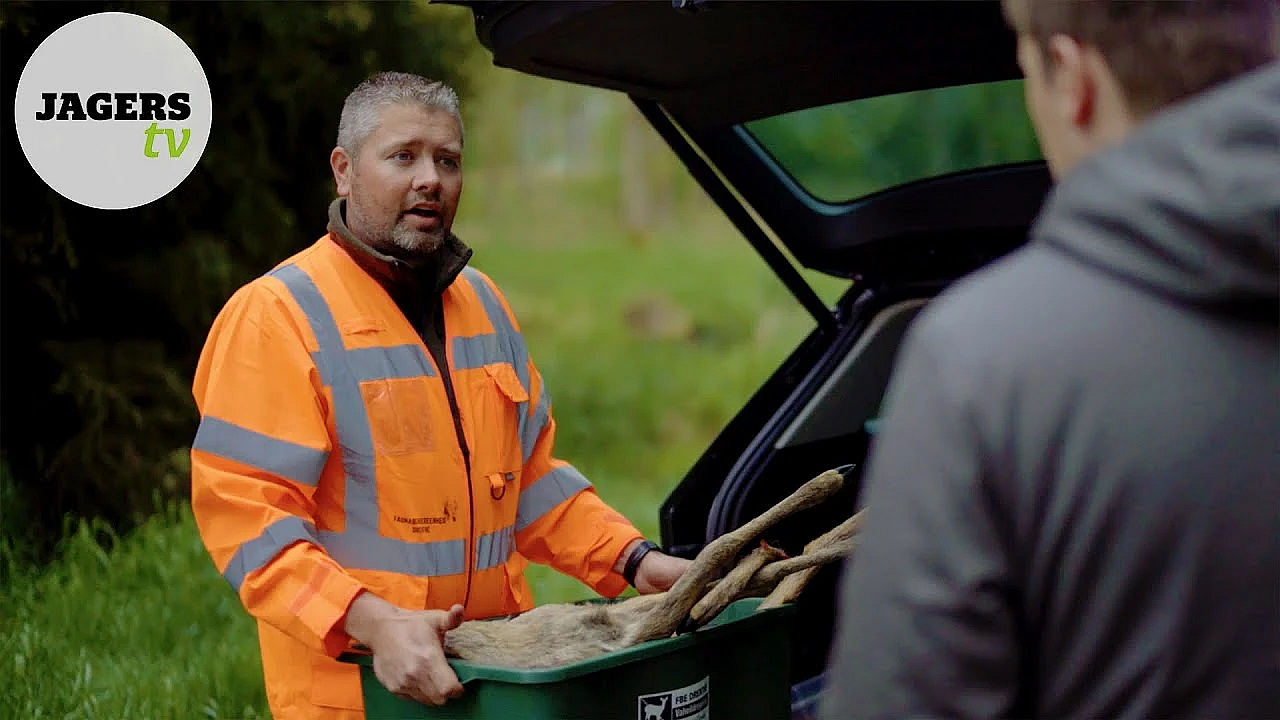 Jagerstv - Wildaanrijdingen