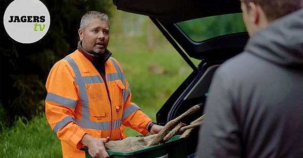 Jagerstv - Wildaanrijdingen