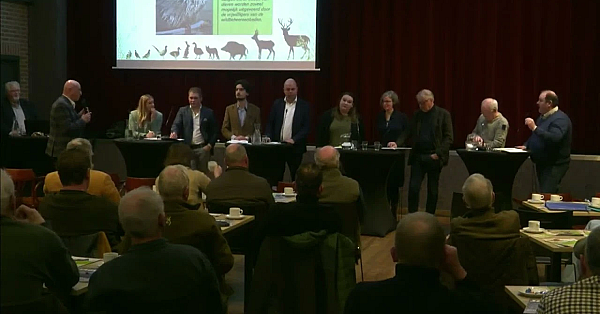 Groot Limburgs Faunadebat Over Beverbeheer