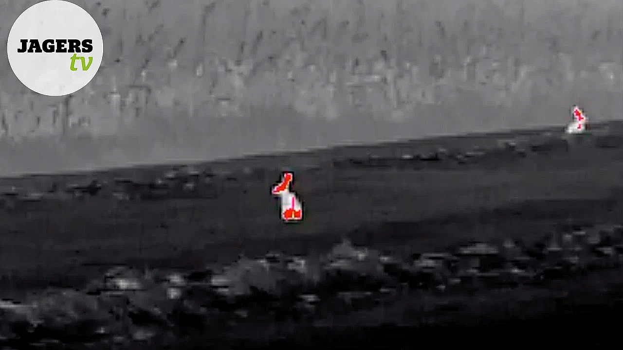 Jagerstv Special - Onderzoek 'een Verschil Van Dag En Nacht' - Warmtebeeld Telling