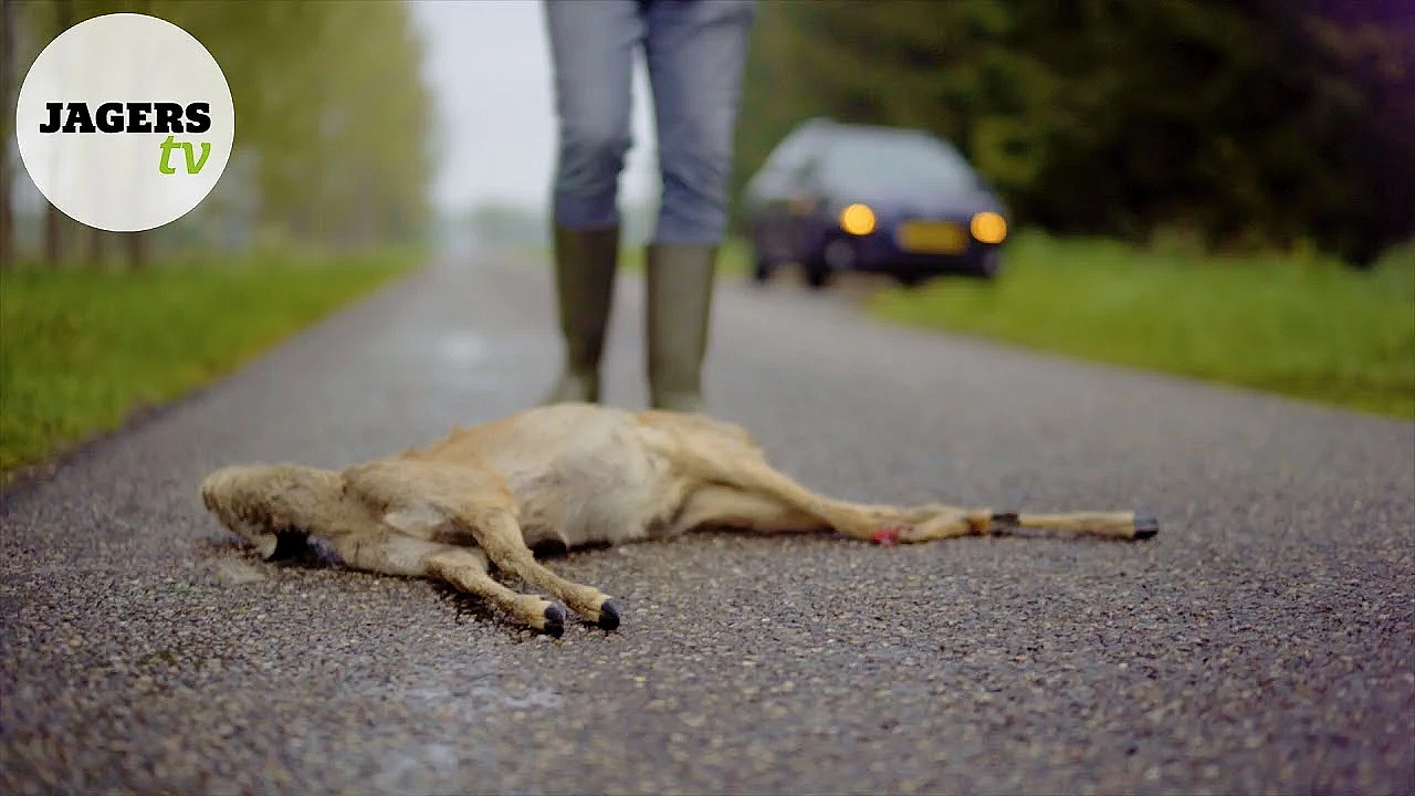 Jagerstv Afl. 9 - Wildspiegels En Valwild