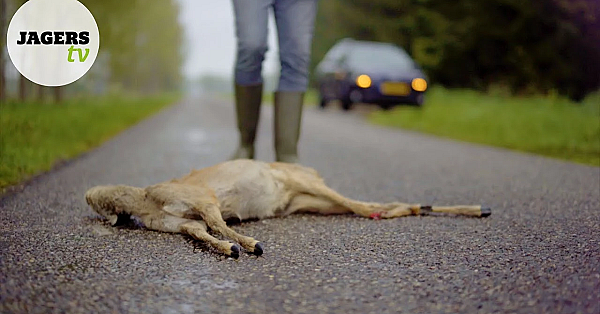 Jagerstv Afl. 9 - Wildspiegels En Valwild