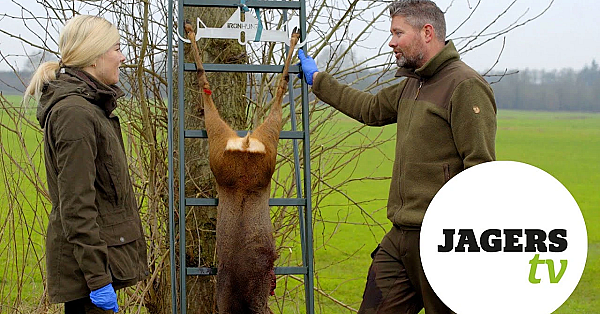 Jagerstv Afl. 21 - Bejagen Vrouwelijk Reewild, Interview Dorien Van Dijk En Ontweiden Ree