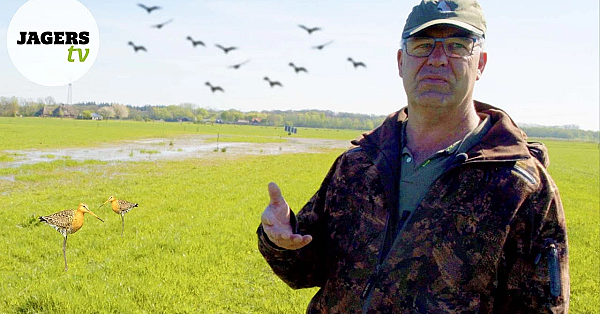Jagerstv - Weidevogels In Het Lierderbroek