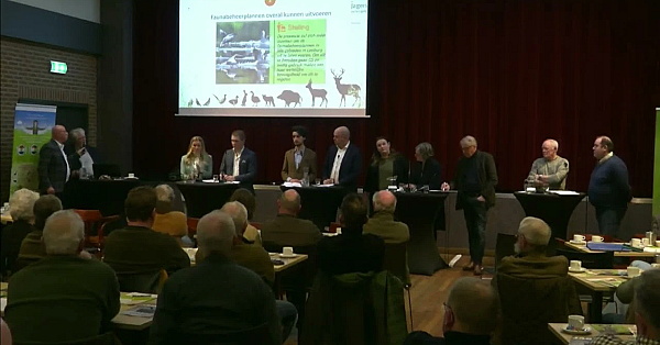 Groot Limburgs Faunadebat Over Faunabeheerplannen Uitvoeren