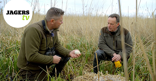 Jagerstv - Ganzen Nestbehandeling