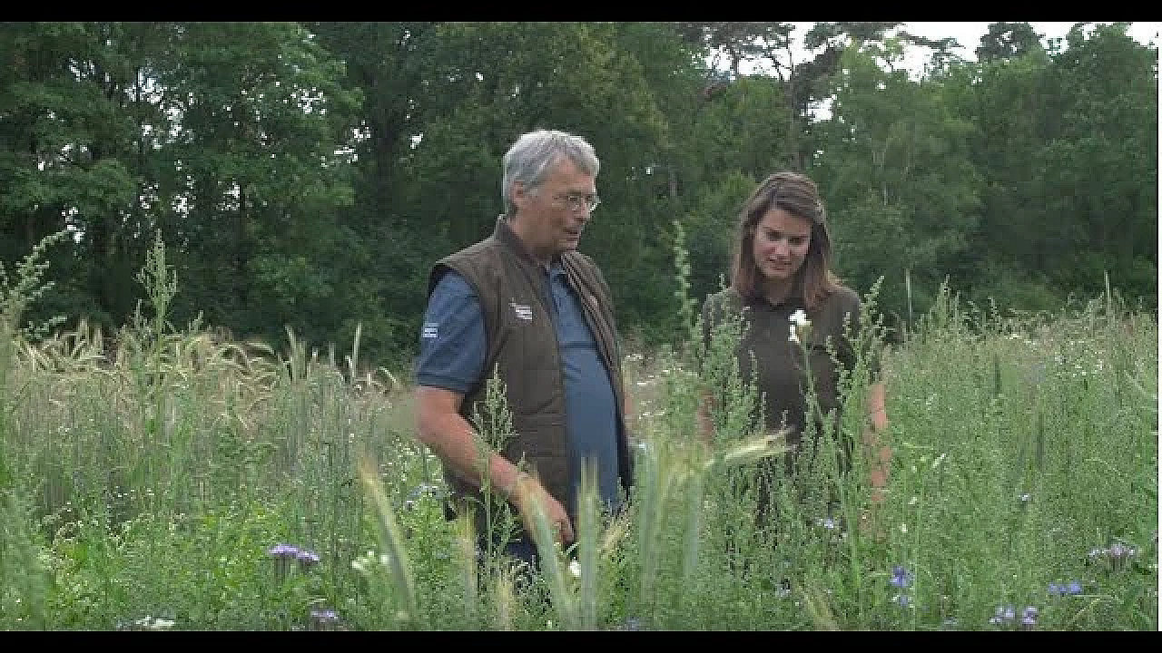 Jagerstv - Tweejarig Veldexperiment Bloeiende Akkerranden