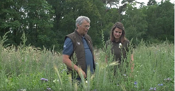 Jagerstv - Tweejarig Veldexperiment Bloeiende Akkerranden