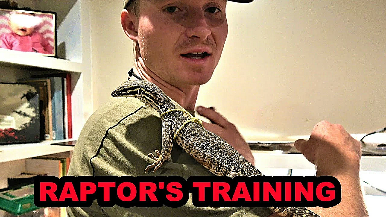 Amazing New Taming Tool!!!