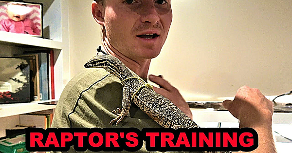 Amazing New Taming Tool!!!