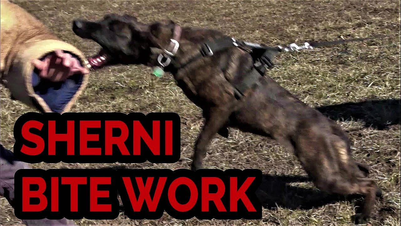 Sherni Getting Serious!