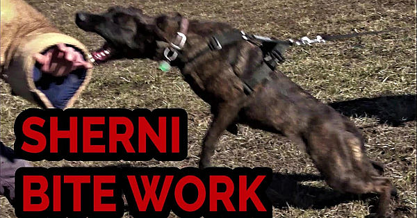 Sherni Getting Serious!