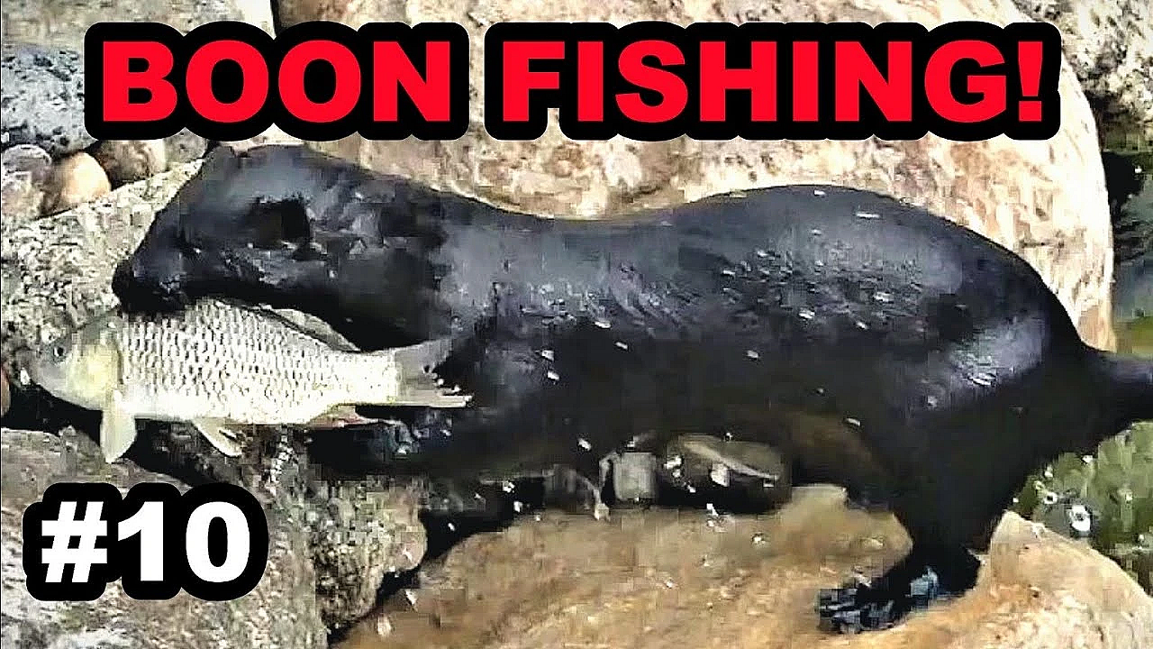 #10 Boon Fishing More Caching Training