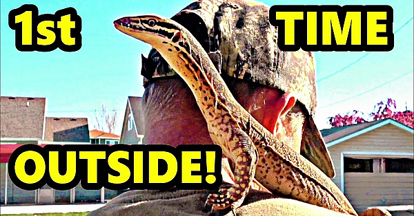 Raptor's 1st Outside Adventure!