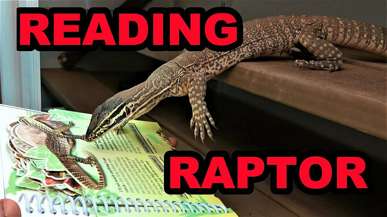 Olive Teaches Raptor To Read.