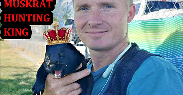 Spark Is The Best Mink I Have Ever Owned!