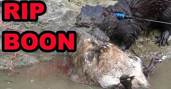 Boon's Remains Finally Found :-(