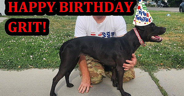 Happy Birthday Grit!