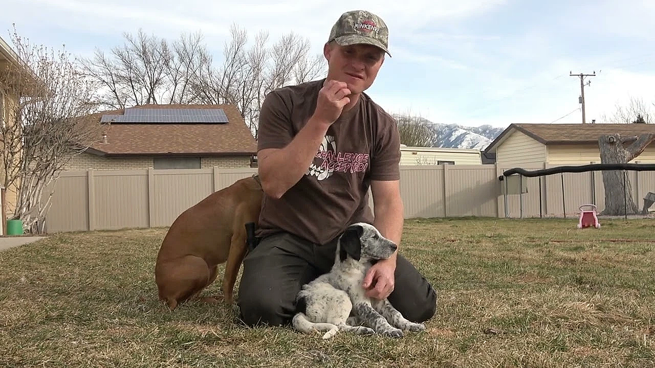 Introducing Tag: New Minkenry Puppy!!!