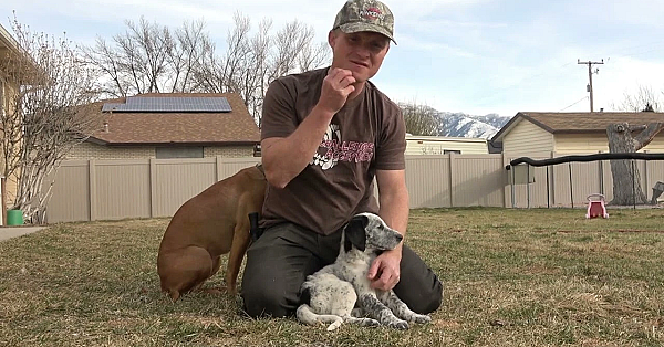 Introducing Tag: New Minkenry Puppy!!!