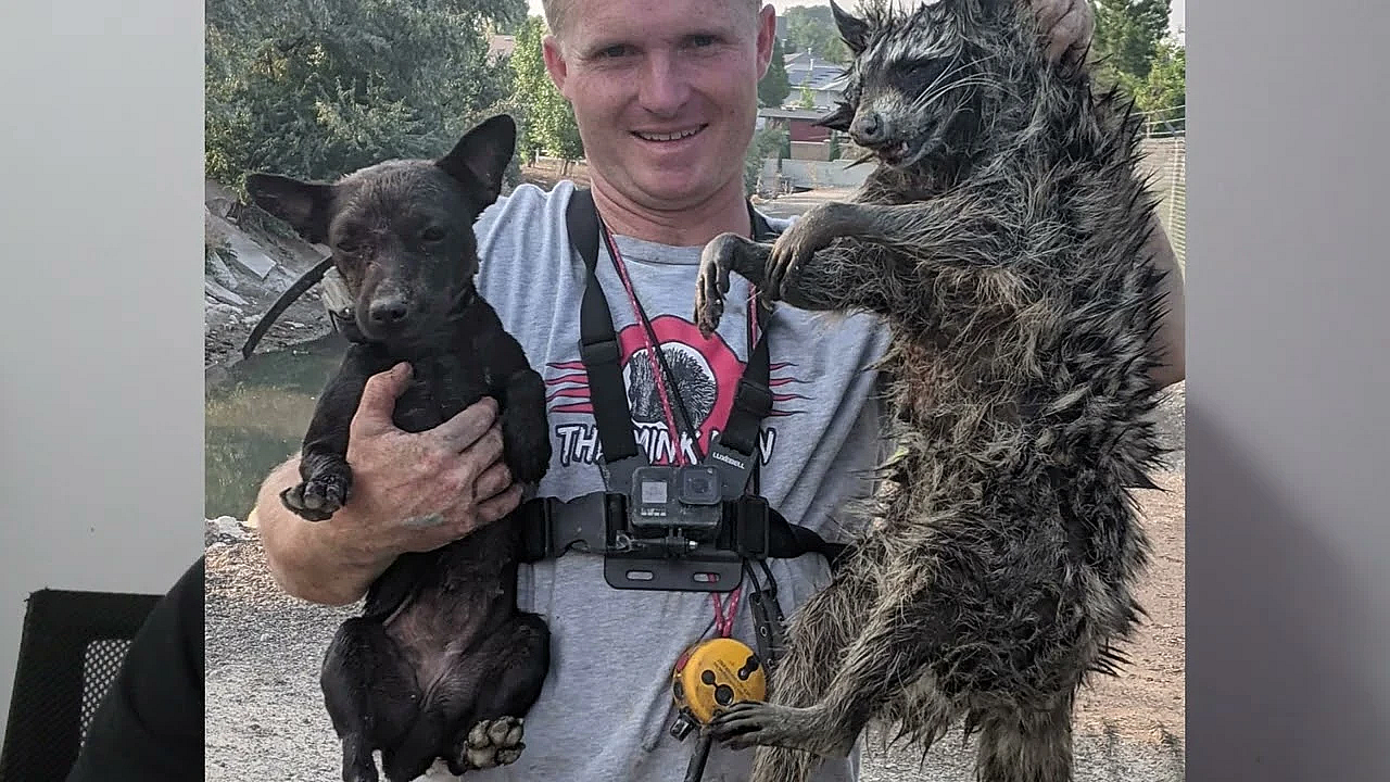 Mink Man's New Tiny Terrier!