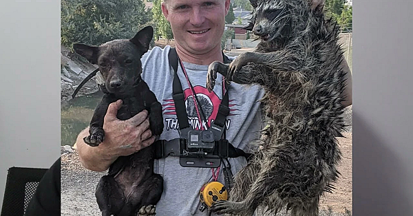 Mink Man's New Tiny Terrier!