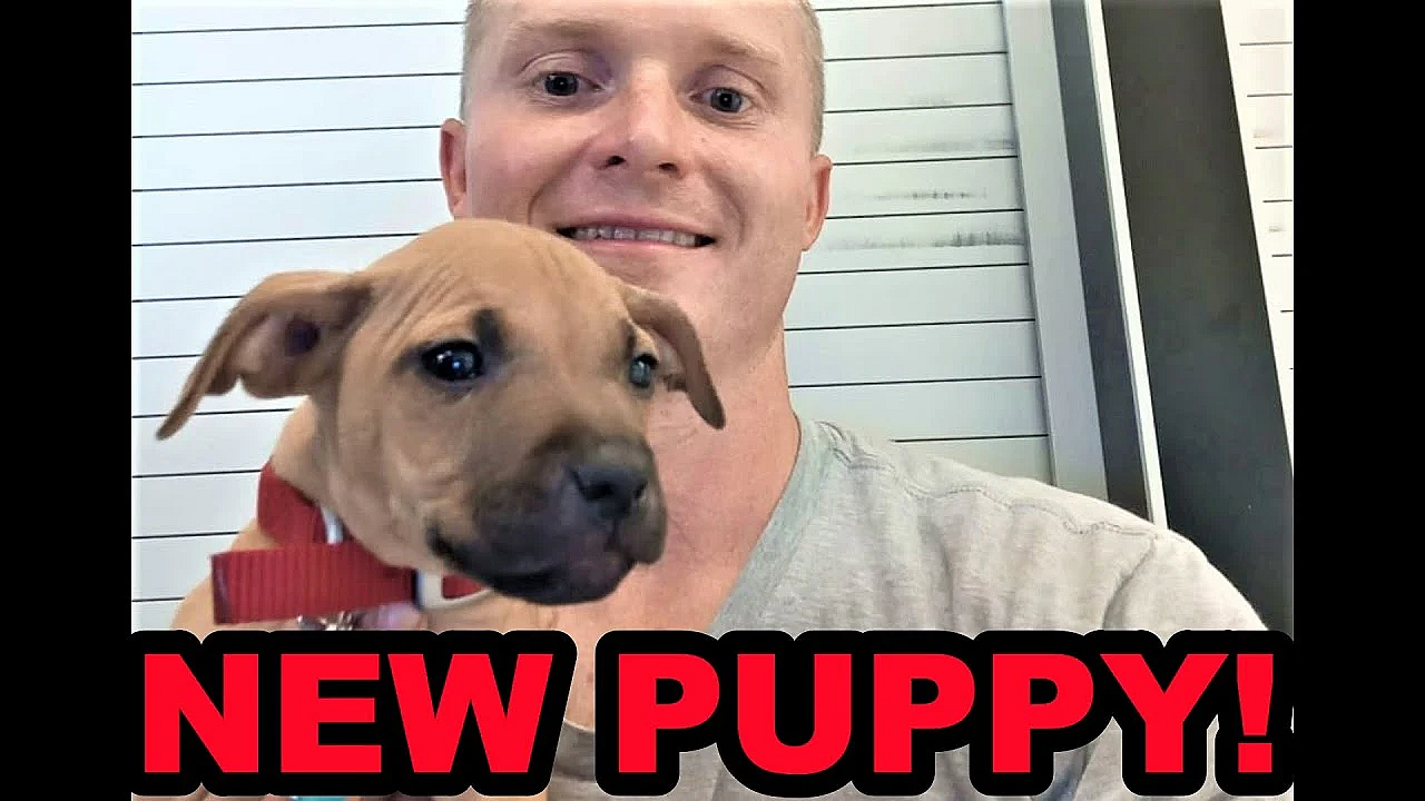 A Puppy For The Mink Man!