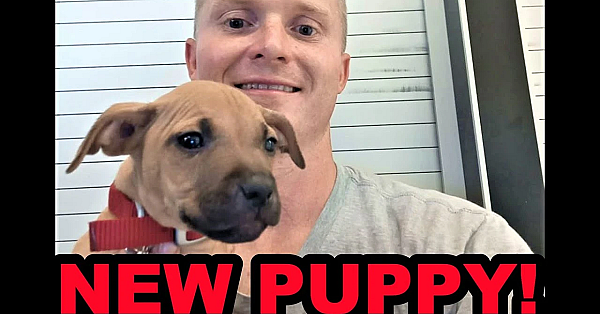 A Puppy For The Mink Man!