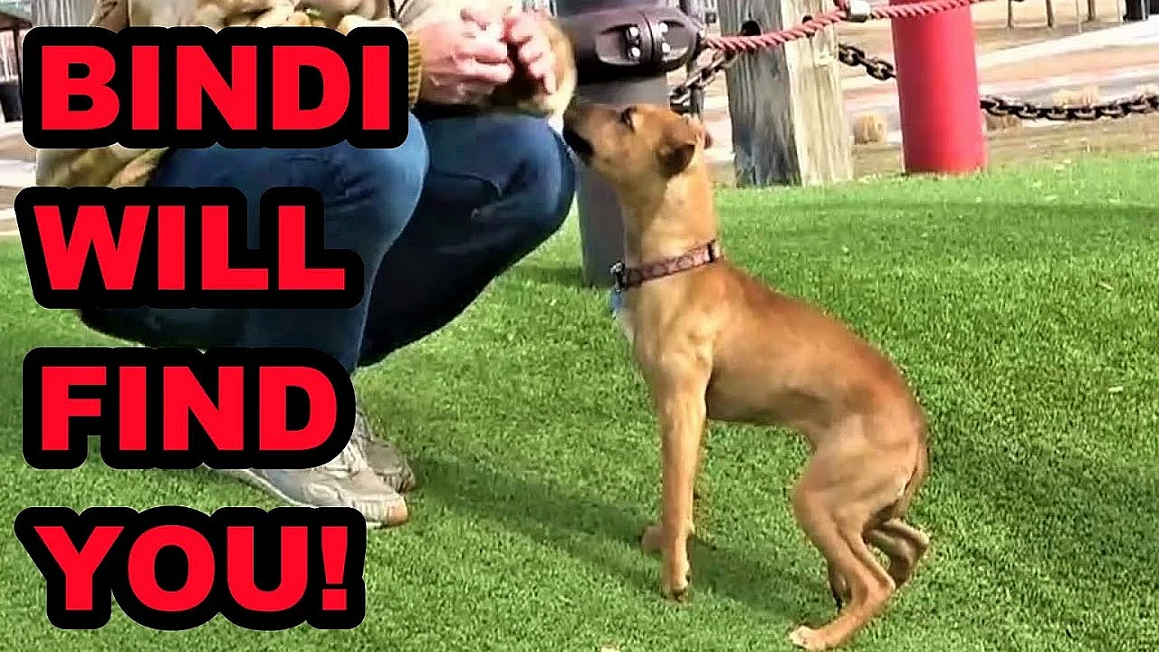 Bindi Learning To Find My Girls By Name