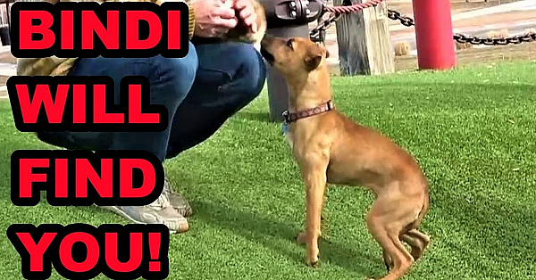 Bindi Learning To Find My Girls By Name