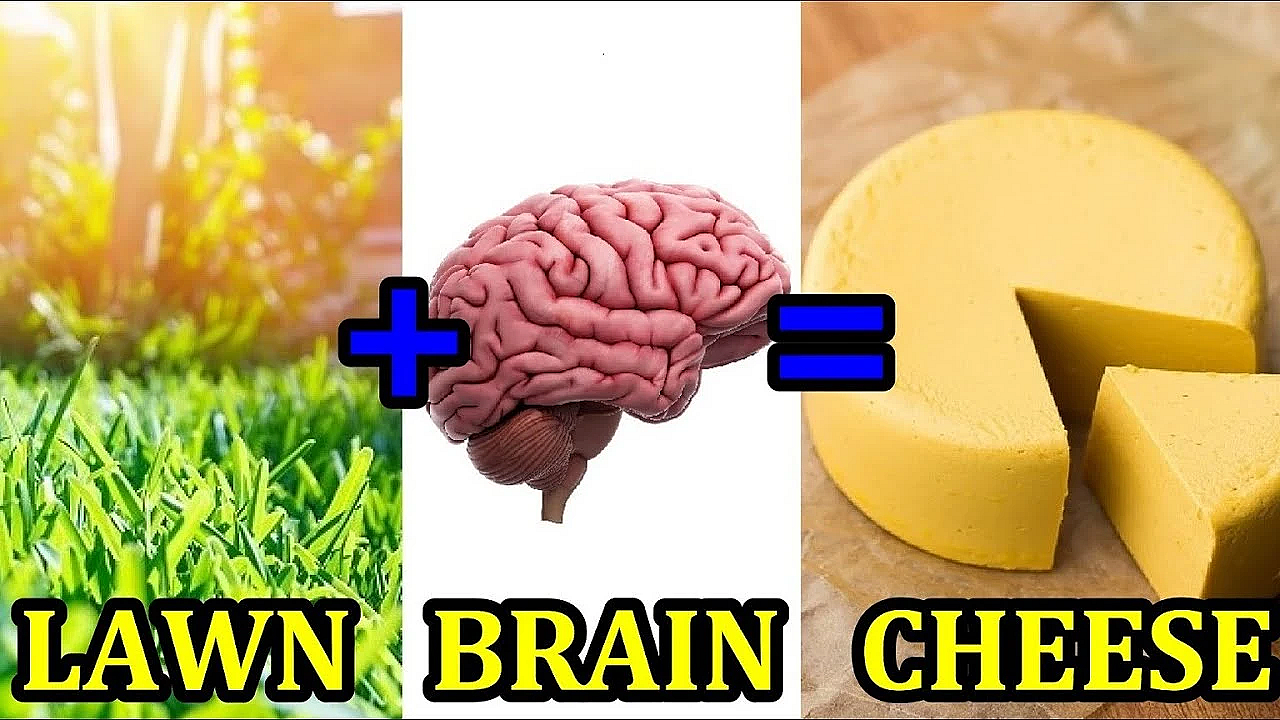 Making Cheese Out Of Your Lawn?!?!?