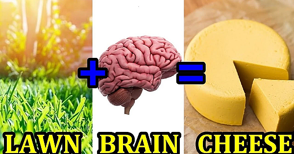 Making Cheese Out Of Your Lawn?!?!?