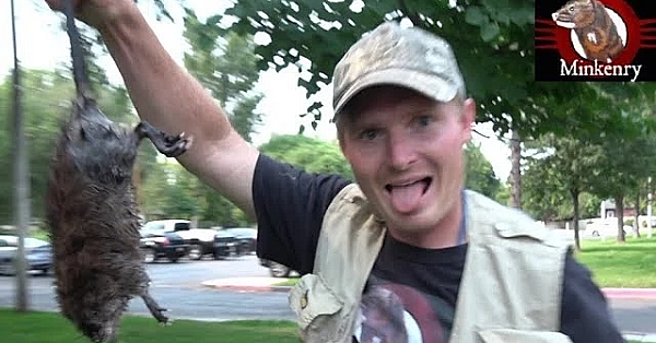 Brocc The Mink Helps Us Net Muskrats At The Park