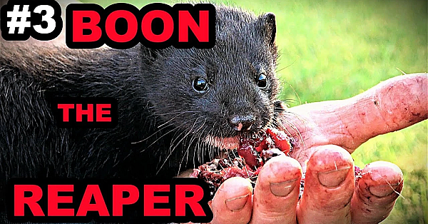 #3 Baby Boon: Basic Training Begins.