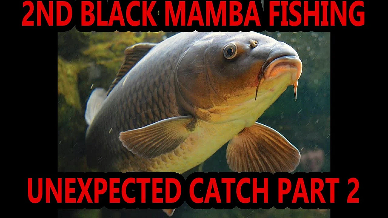 Unexpected Catch Part 2