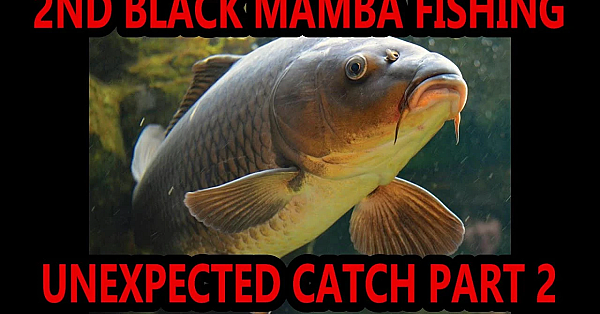 Unexpected Catch Part 2